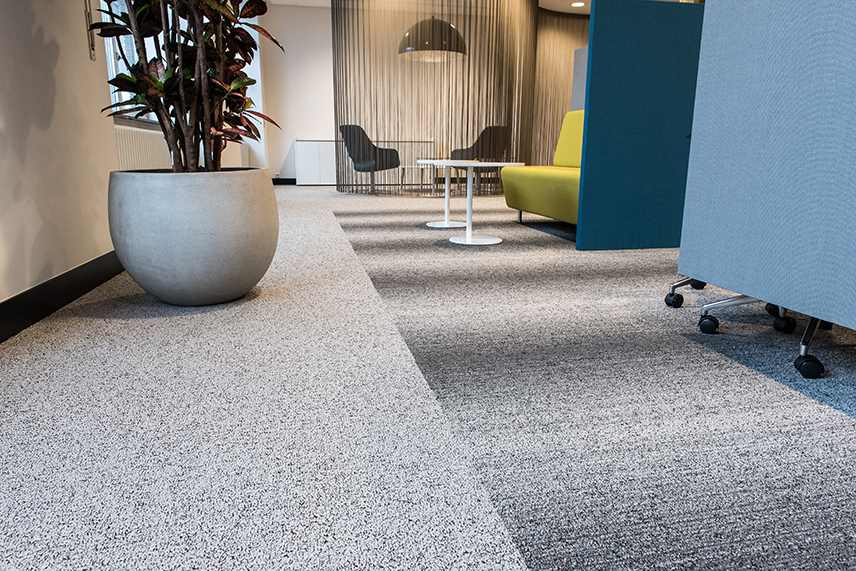 carpet_cleaning